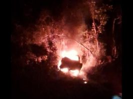 Casal morre carbonizado dentro de veículo que pegou fogo no interior de MT