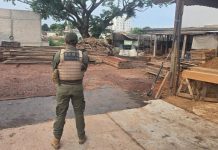Polícia Civil cumpre mandados e desarticula grupo envolvido em crime ambiental e lavagem de dinheiro