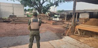 Polícia Civil cumpre mandados e desarticula grupo envolvido em crime ambiental e lavagem de dinheiro