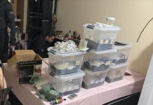 Polícia Civil cumpre 20 ordens judiciais contra grupo de traficantes que atuava em Cuiabá e no Distrito Federal