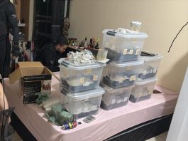 Polícia Civil cumpre 20 ordens judiciais contra grupo de traficantes que atuava em Cuiabá e no Distrito Federal