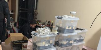 Polícia Civil cumpre 20 ordens judiciais contra grupo de traficantes que atuava em Cuiabá e no Distrito Federal