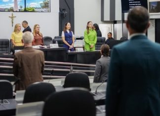 Parlamento municipal adota sessões virtuais durante período de reforma