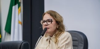 Paula Calil afirma que Comissão Especial vai apurar denúncia de assédio contra ex-secretário e garantir respostas à população