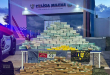 Polícia Militar registra aumento de 19% em número de apreensões de drogas em janeiro deste ano