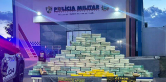 Polícia Militar registra aumento de 19% em número de apreensões de drogas em janeiro deste ano