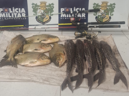 Polícia Militar prende dois suspeitos por furto de peixes em fazenda-escola de Jaciara