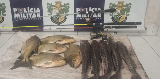 Polícia Militar prende dois suspeitos por furto de peixes em fazenda-escola de Jaciara