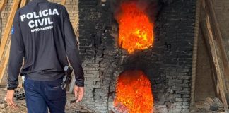 Polícia Civil incinera 800 kg de entorpecentes em cidade de MT