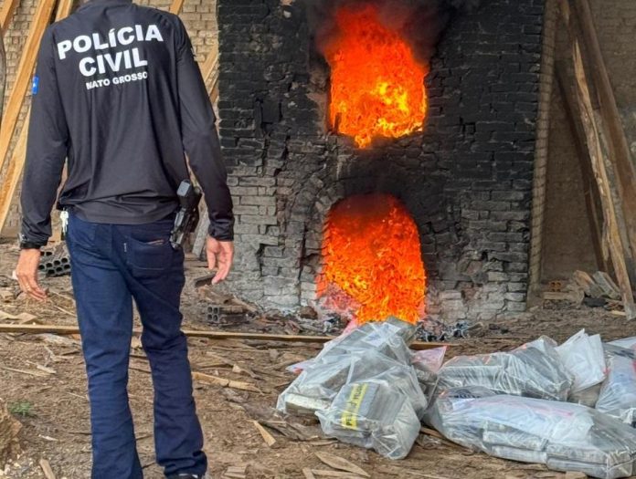 WhatsApp Image 2026-03-17 at 09.41.28 (1)