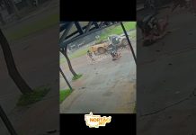 Vídeo mostra momento em que caminhonete atinge postes e homem retira mulher ferida em Sorriso