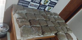 Polícia apreende 30 tabletes de skunk em ônibus de viagem em Vila Bela da Santíssima Trindade