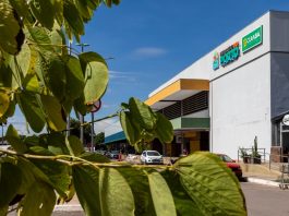 Mutirão leva serviços da Justiça Eleitoral ao Mercado do Porto, em Cuiabá