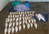 Batalhão Ambiental da PM prende homem transportando 52 unidades de pescado irregular