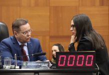 Botelho diz estar livre para definir apoio ao governo e aponta adesão a Janaina ao Senado