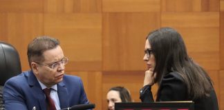 Botelho diz estar livre para definir apoio ao governo e aponta adesão a Janaina ao Senado