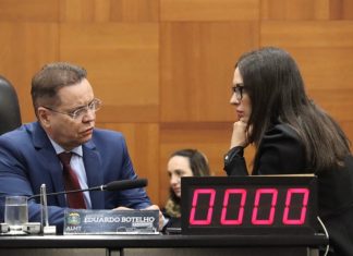 Botelho diz estar livre para definir apoio ao governo e aponta adesão a Janaina ao Senado