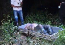 Corpo de homem em avançado estado de decomposição é encontrado com mãos e pés amarrados