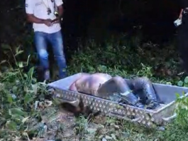 Corpo de homem em avançado estado de decomposição é encontrado com mãos e pés amarrados
