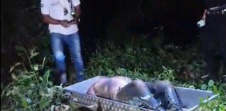 Corpo de homem em avançado estado de decomposição é encontrado com mãos e pés amarrados