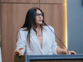 Nova legislação fortalece a voz feminina na política e reforça o direito das mulheres