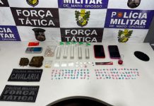 Polícia Militar apreende 172 porções de drogas e prende mulher suspeita por tráfico