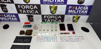 Polícia Militar apreende 172 porções de drogas e prende mulher suspeita por tráfico