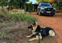 Polícia Civil deflagrou operação contra investigados por homicídio ligado a facção em Tabaporã