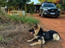 Polícia Civil deflagrou operação contra investigados por homicídio ligado a facção em Tabaporã