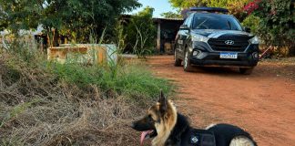 Polícia Civil deflagrou operação contra investigados por homicídio ligado a facção em Tabaporã