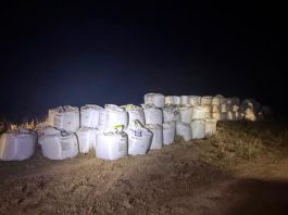Polícia Civil recupera carga de 273 toneladas de defensivos furtada de propriedade rural em Pontes e Lacerda