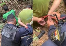 PM resgata dois homens amarrados em área de mata em MT; criminosos conseguiram fugir