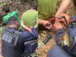 PM resgata dois homens amarrados em área de mata em MT; criminosos conseguiram fugir