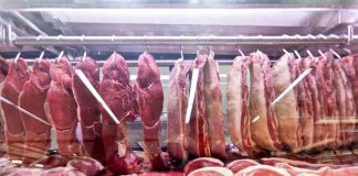 União Europeia anuncia veto à importação de carne brasileira a partir de setembro