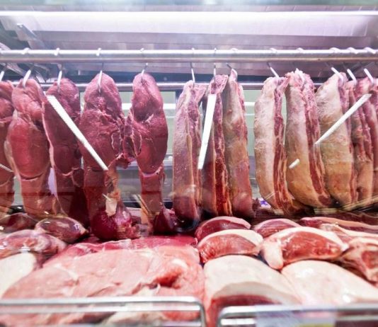 União Europeia anuncia veto à importação de carne brasileira a partir de setembro