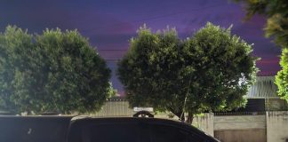 Polícia Civil cumpre mandados contra grupo criminoso envolvido com tráfico em Lucas do Rio Verde