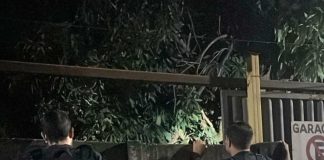Polícia Civil MT deflagra operação e atinge núcleo de facção criminosa em Rondonópolis