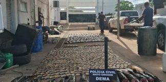 Polícia Civil apreende mais de 900 quilos de pescado irregular e desarticula esquema de pesca predatória em Cuiabá