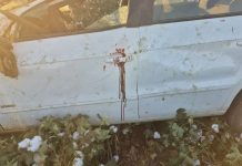 Mulher morre em capotamento e motorista abandona local do acidente em Sorriso