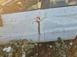 Mulher morre em capotamento e motorista abandona local do acidente em Sorriso