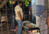Homem de 35 anos é morto a tiros em comunidade de Várzea Grande