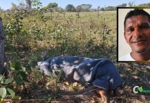 Corpo de homem é encontrado enrolado em cobertor em área de mata no interior de MT