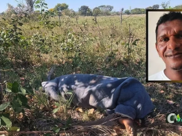 Corpo de homem é encontrado enrolado em cobertor em área de mata no interior de MT