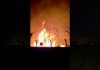 Incêndio que começou em lixão se espalha e alcança vegetação no terreno do aeroporto