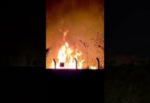 Incêndio que começou em lixão se espalha e alcança vegetação no terreno do aeroporto