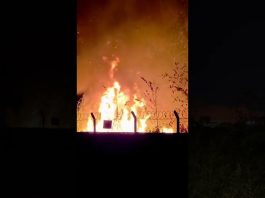 Incêndio que começou em lixão se espalha e alcança vegetação no terreno do aeroporto