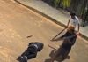 Câmera registra ataque a pauladas que matou homem de 50 anos em rua de MT