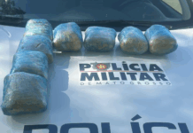 Polícias Militares de MT e Goiás prendem mulher e apreendem 25 quilos de skank em rodovia