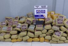 Polícia Militar apreende super maconha escondida em carga de milho em Alto Araguaia