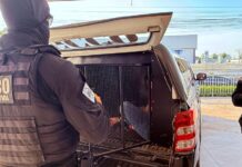 Investimentos e inteligência: Polícia Civil mira faccionados foragidos em outros Estados e países